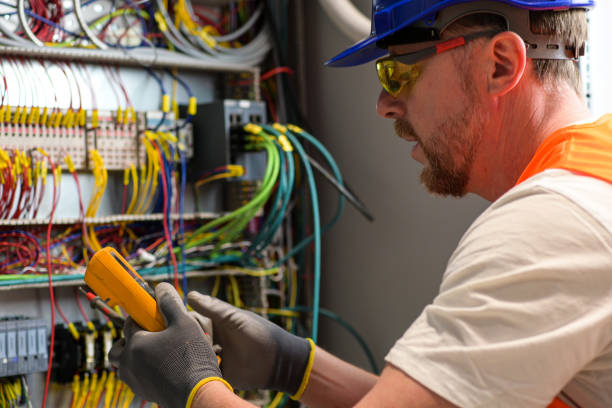 Best Electric Panel Repair  in Crosspointe, VA